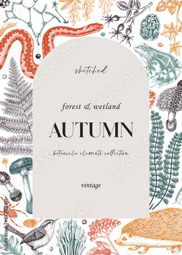 Forest frame in color. Hand-drawn autumn plants, fall leaves, mushrooms, ferns, woodland animals sketches. Decorative fall background in vintage style for banner, print, greeting card, invite