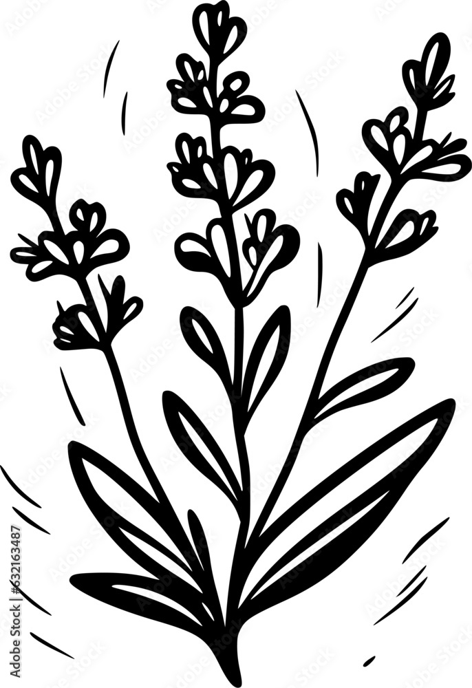 Fototapeta premium Lavender | Black and White Vector illustration