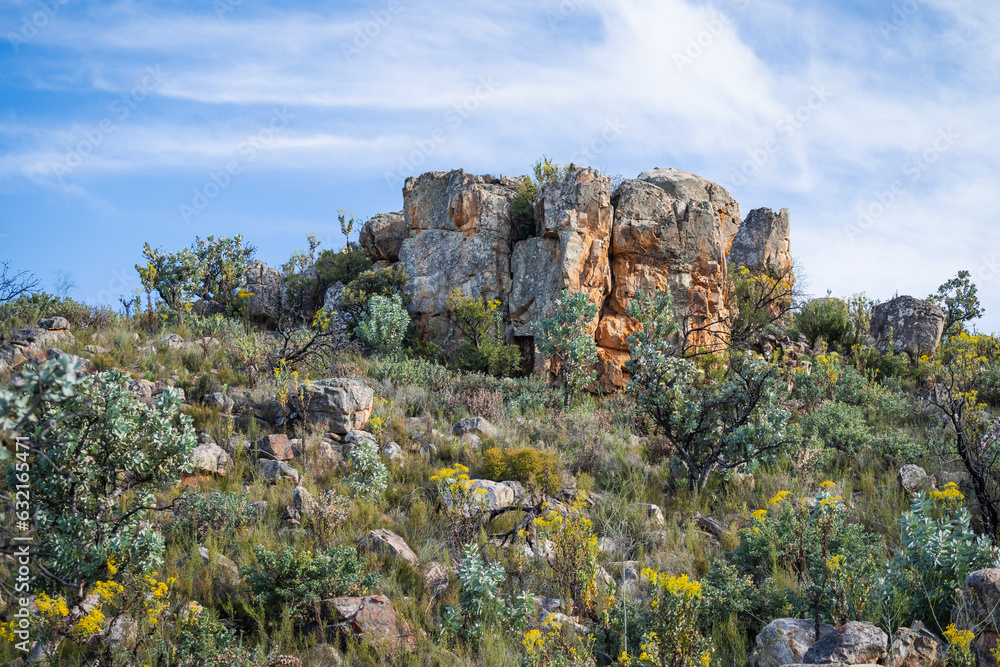 waboom trees and fynbos next to a rocky outcrop