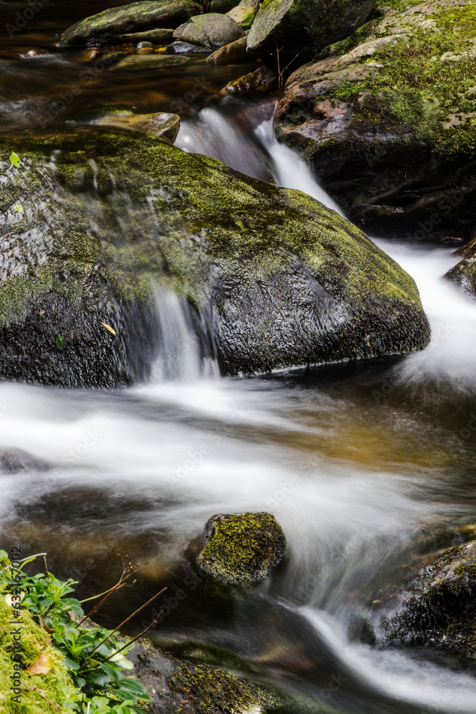 Waterfall in the forest 15