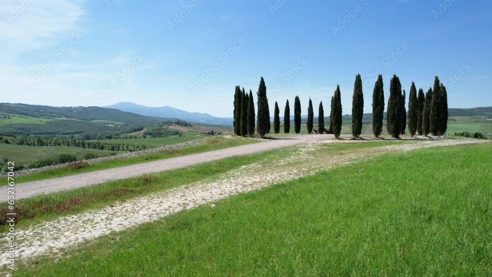Group Of Cypresses In Tuscany. Circular aerial view of cypress ring near San Quirico. Italy.