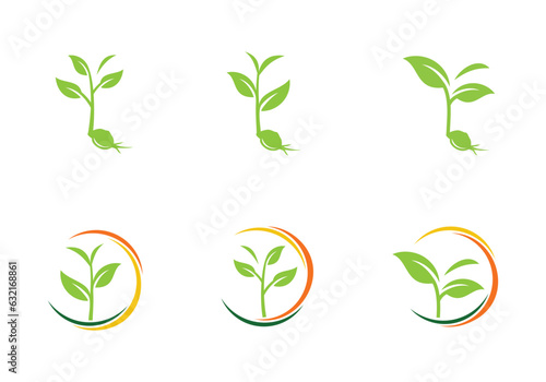 Organic plant seed logo design template