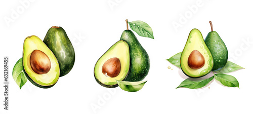 creamy avocado watercolor