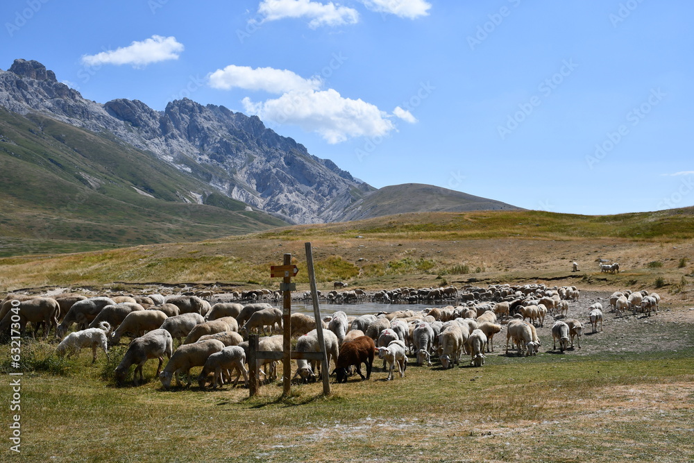Obraz na płótnie Malowniczy krajobraz Abruzzo. Gran Sasso e Monti della Laga National Park. Abruzzo. Italia. w salonie