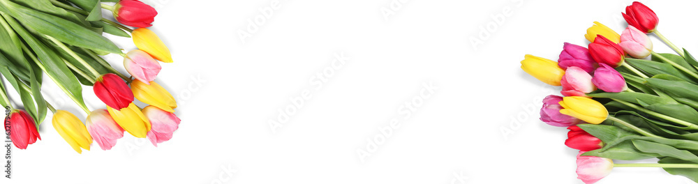 Beautiful tulips on white background, flat lay. Banner design with space for text Beautiful tulips on white background, flat lay. Banner design with space for text