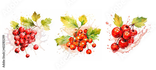 healthy hawthorn splash juice watercolor photo