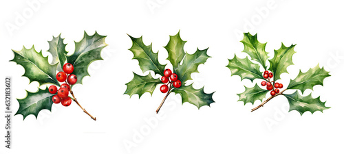 decoration holly leaf branch watercolor