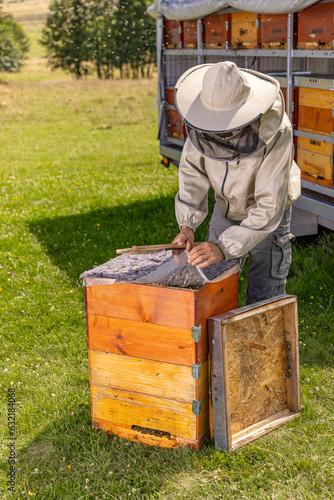 Beekeeper in protective workwear