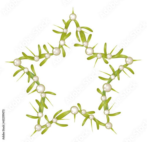Misteln, Stern aus Mistelzweigen. Vektor Design für Weihnachten Advent Nikolaus und im Winter.