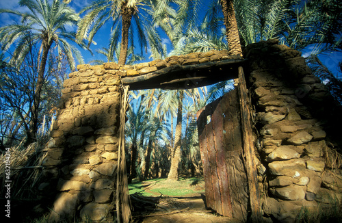 AFRICA EGYPT SAHARA BAHARIYA OASIS photo