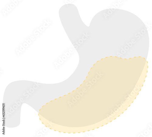 Visceral fat icon, type of obesity. Fat inside the human body that surrounds the organs. Adipose tissue internal mass around the stomach, abdominal cavity area. Pictogram medical vector illustration. 