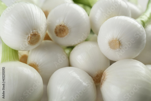 Whole green spring onions as background  closeup