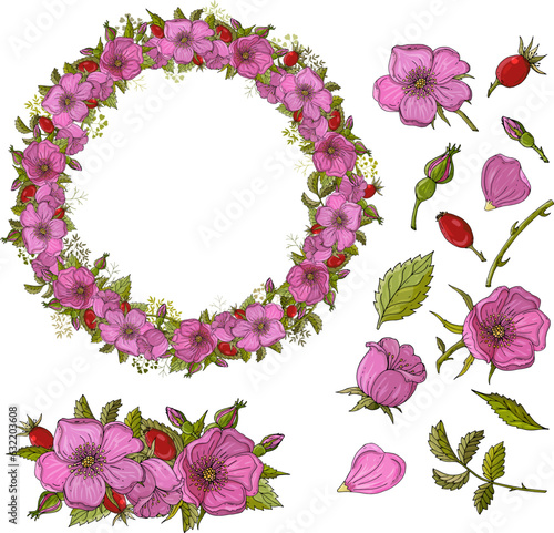 A set of floral elements. Rosehip flowers, rose hips. Rosehip wreath. Hand drawn flowers for invitation, wedding or postcard. EPS 10 vector illustration.