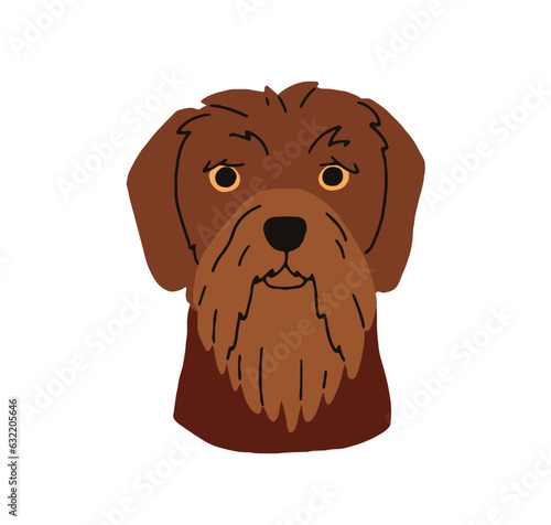 Drahthaar breed, dog head avatar. German wirehaired pointer, doggy face, cani...