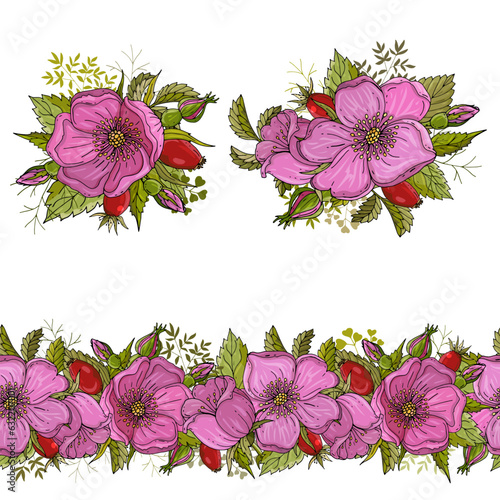 Seamless stripe and composition set with rosehip leaves, flowers and berries isolated on white background. Hand drawn flowers for invitation, wedding or postcard. EPS 10 vector illustration.