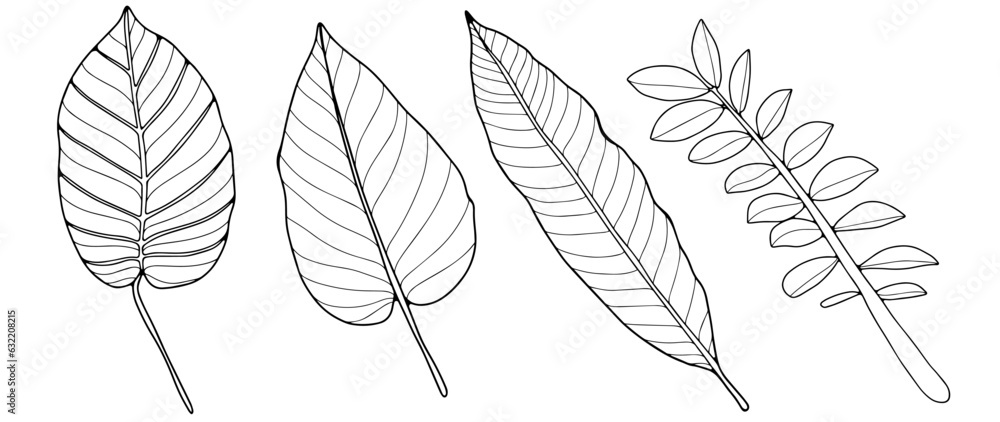 Black and white palm branches and leaves. Botanical set of plants for creating wallpapers, backgrounds, coloring pages, covers and postcards Black and white palm branches and leaves. Botanical set of plants for creating wallpapers, backgrounds, coloring pages, covers and postcards