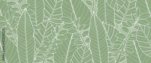 Green tropical background with leaves and branches. Delicate botanical background for decor, wallpapers, postcards and presentations.