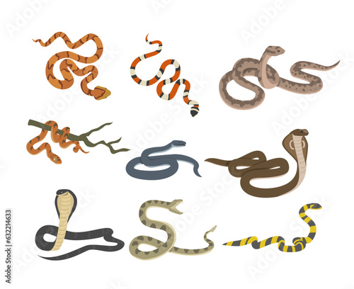 Venomous snakes set, flat vector illustration isolated on white background.