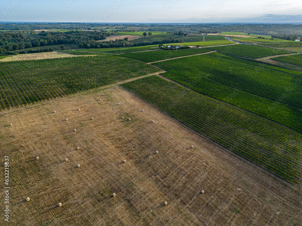 Aerial view Bordeaux Vineyard and forage fields with bales of hay in summer at sunrise, film by drone in summer, Entre deux mers, High quality photo Aerial view Bordeaux Vineyard and forage fields with bales of hay in summer at sunrise, film by drone in summer, Entre deux mers, High quality photo