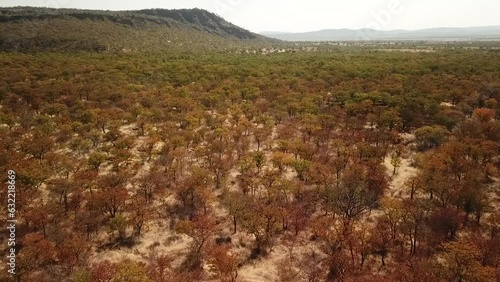 Aerial view of a dirt road in the bush Cunene Province Oncocua Angola photo