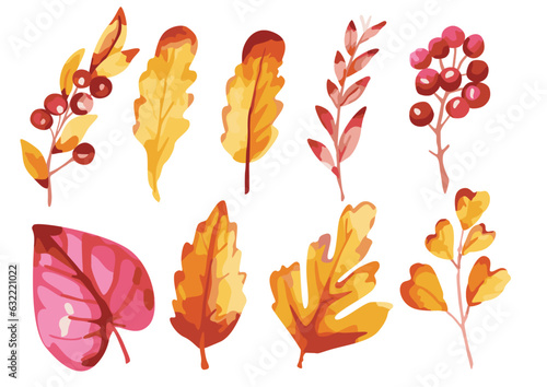 Colorful autumn leaves and berries illustration set on white background.