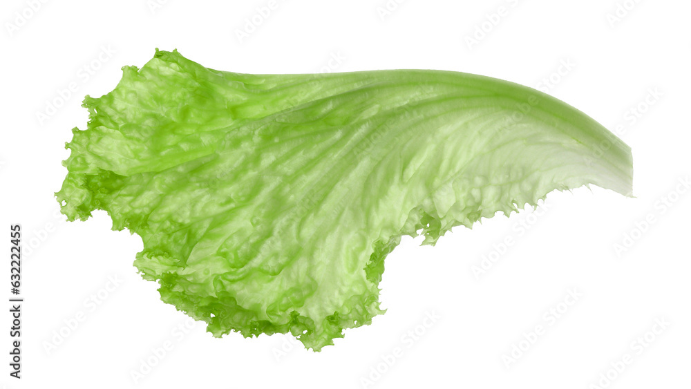 One green lettuce leaf isolated on white. Salad greens - obrazy, fototapety, plakaty 