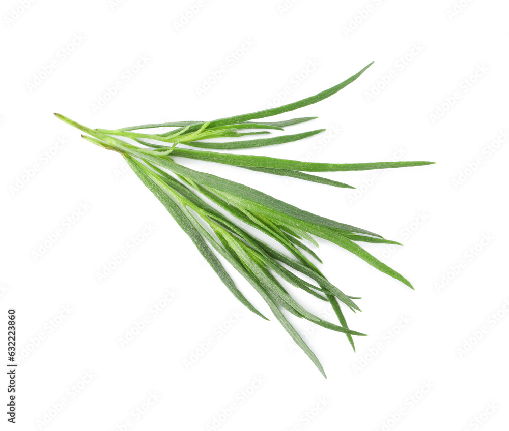 Fototapeta premium Sprigs of fresh tarragon on white background