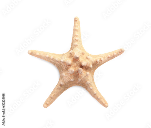 Beautiful sea star (starfish) isolated on white, top view