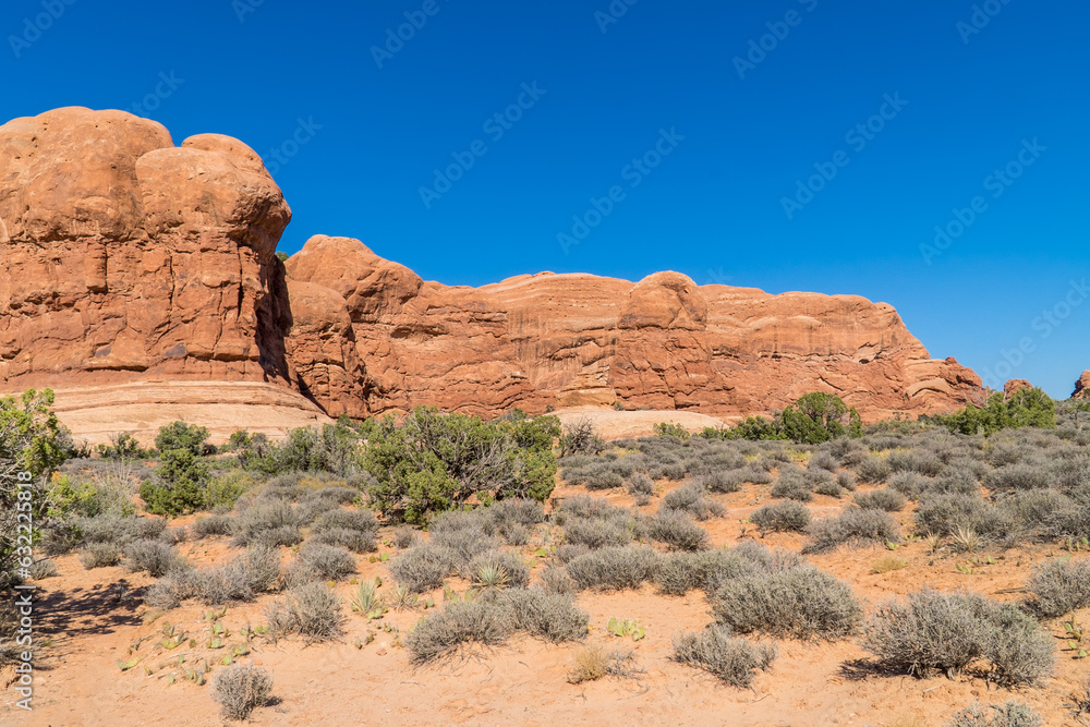 Fototapeta premium Arches National Park
