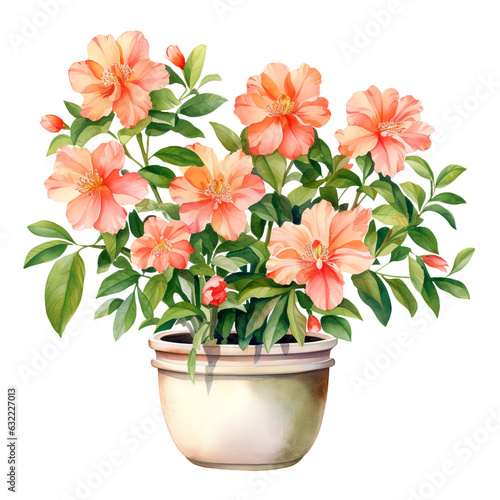 Pink and Peach Flowers in a Pot Watercolor Clipart isolated on Transparent Background. 