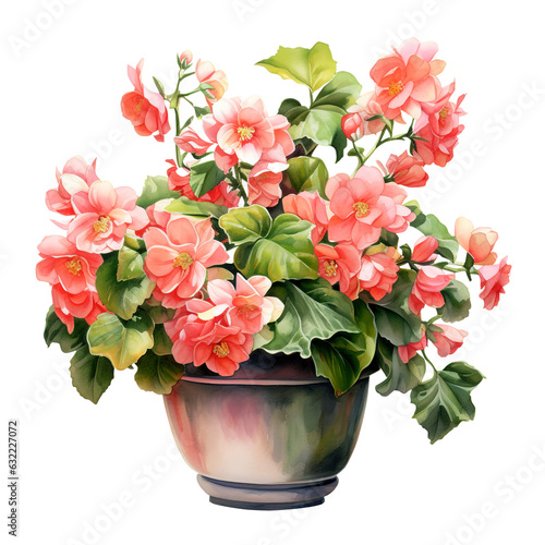 Pink and Peach Flowers in a Pot Watercolor Clipart isolated on Transparent Background. 