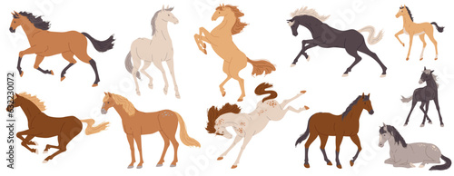 Various horses set, flat vector illustration isolated on white background.