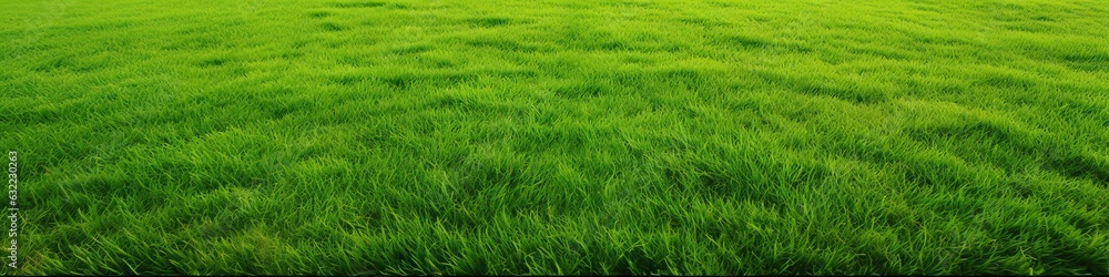 Beautiful natural scenic panorama green field of cut grass into and blue sky with clouds on horizon. Perfect green lawn on summer sunny day Beautiful natural scenic panorama green field of cut grass into and blue sky with clouds on horizon. Perfect green lawn on summer sunny day