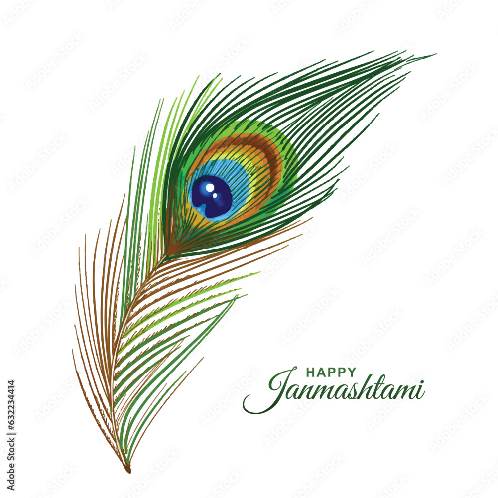 Fototapeta premium Realistic peacock feather watercolor on happy janmashtami card design