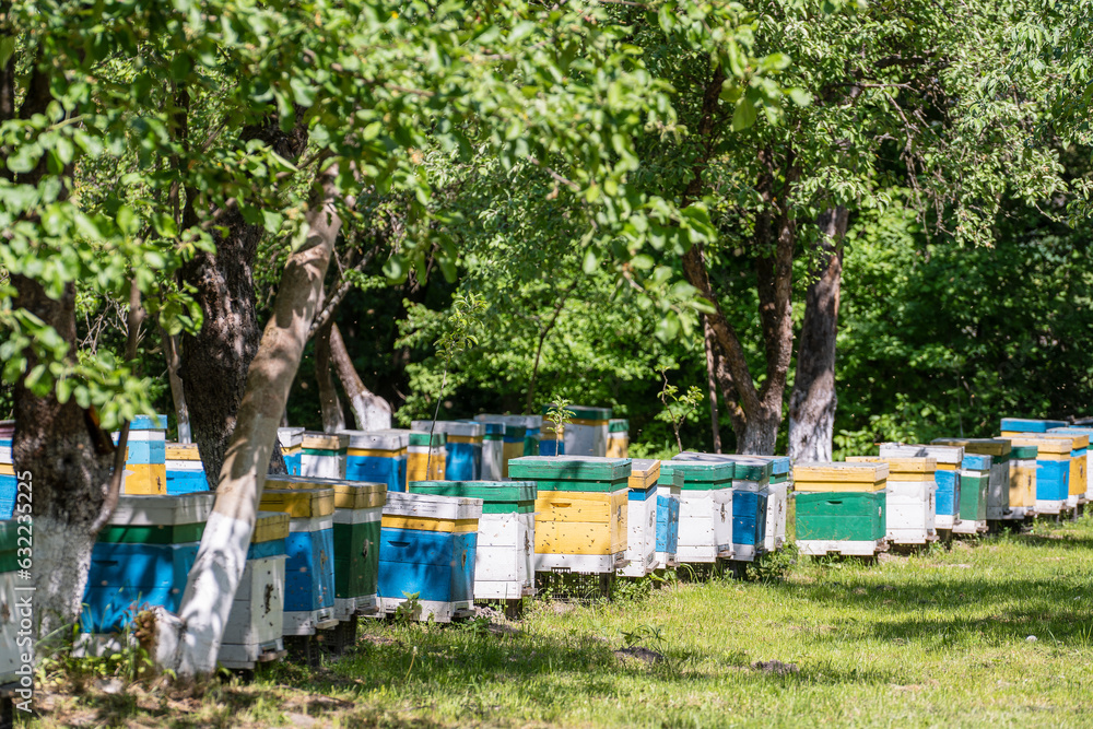 Many set of wooden beehive in the spring garden in the apiary to collect honey. Row of colorful beehives on a small enclosed area Many set of wooden beehive in the spring garden in the apiary to collect honey. Row of colorful beehives on a small enclosed area