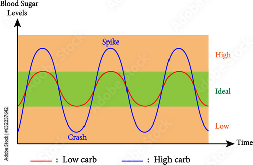 Blood sugar ballance  graph. Blood sugar levels, roller coaster, diabetes. Normal or ideal, low and high levels of instability .Vector illustration