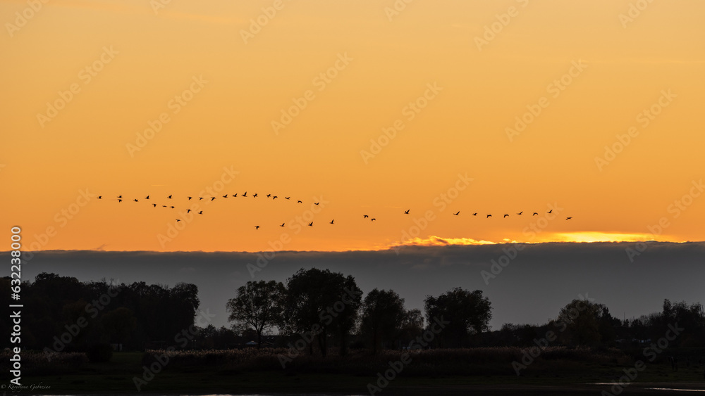 Fototapeta premium Montier en Der