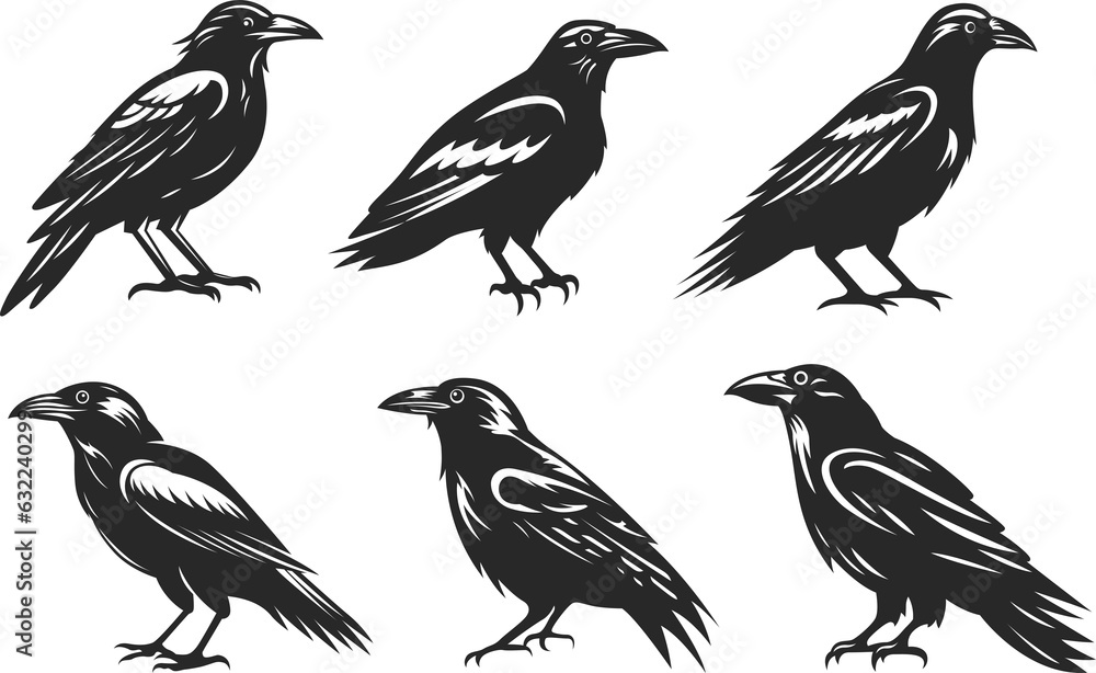 Сrow abstract character illustrations. Graphic logo of birds design template for emblem. Image of raven. Сrow abstract character illustrations. Graphic logo of birds design template for emblem. Image of raven.