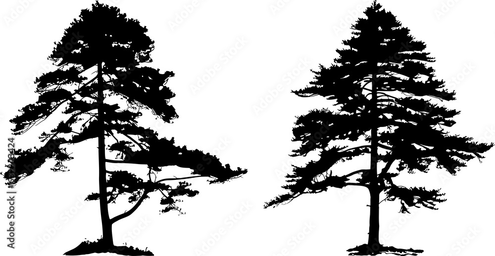 Obraz premium pine trees silhouette set illustration