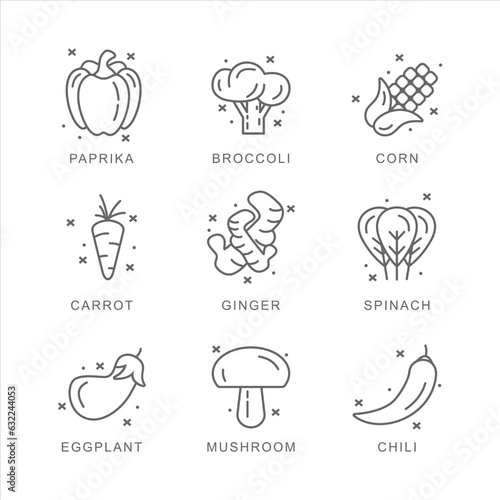 Set of Vegetarian, vegetable, veggies web Icon design, with outline style. Outline icons collection.