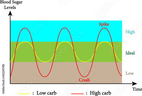 Blood sugar ballance  graph. Blood sugar levels, roller coaster, diabetes. Normal or ideal, low and high levels of instability .Vector illustration