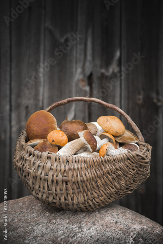 A basket full of mushrooms placed on a stone.