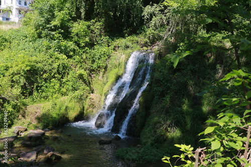 waterfall in the forest