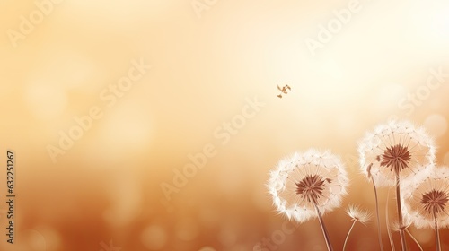 Dandelion flowers cast a natural shadow on beige paper creating an abstract and decorative composition in pastel shades The neutral nature concept features a blurred backgr