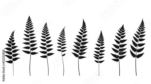 Isolated black silhouettes of fern leaves on white