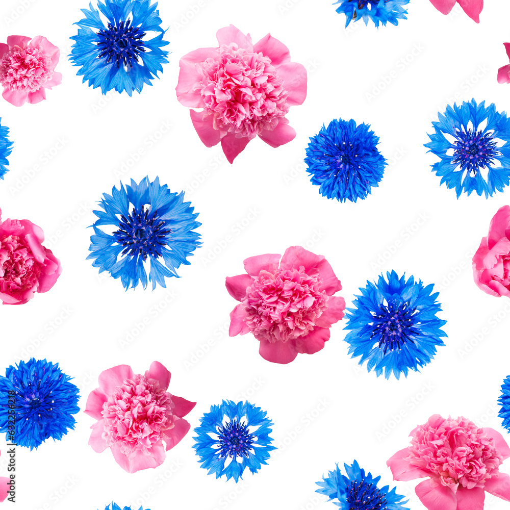 Seamless pattern of pink peony and cornflower flowers isolated on white background