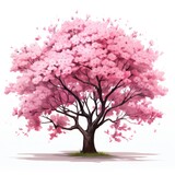 Cherry Tree Clipart on White Background AI Generated