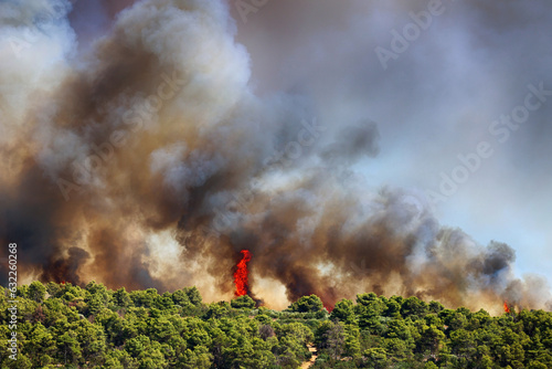 Pożar lasu na wyspie. Ogień blisko domów i hoteli. photo
