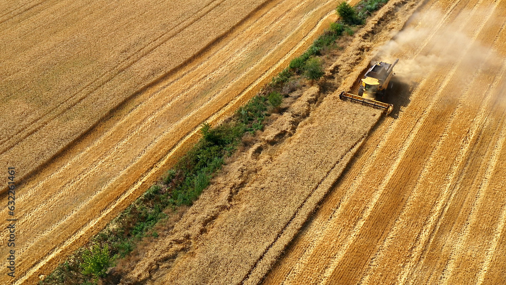 Combine harvester gathers the wheat crop. Wheat harvesting shears. Combines in the field Food industry concept. Combine harvester gathers the wheat crop. Wheat harvesting shears. Combines in the field Food industry concept.