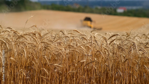 Tableau sur toile Combine harvester gathers the wheat crop